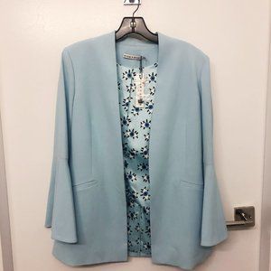Alice + Olivia Boyfriend Blazer in Mint XS